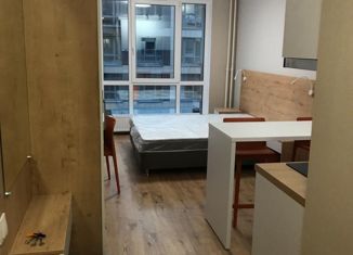 Продам квартиру студию, 22.1 м2, посёлок Парголово, Толубеевский проезд, 8к2
