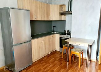 Аренда квартиры студии, 25 м2, Санкт-Петербург, улица Бабушкина, 84к2, метро Пролетарская