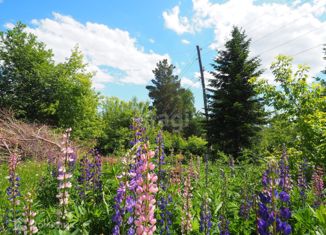 Продажа дома, 20 м2, Новосибирск, Октябрьский район, Садовая улица