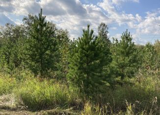 Продам земельный участок, 21 сот., село Луговое, Николаевская улица