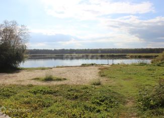 Продажа дома, 50 м2, СНТ Лесная сказка, 16-я улица