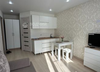 Продается квартира студия, 24 м2, Чувашия, Социалистическая улица, 15