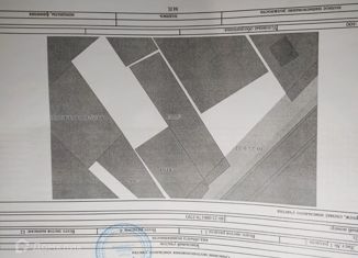 Продается участок, 8 сот., деревня Шопино, Центральная улица