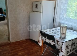 Аренда дома, 30 м2, Екатеринбург, улица Колхозников