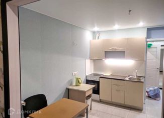 Сдается квартира студия, 29 м2, Мурино, Петровский бульвар, 7, ЖК Ласточка