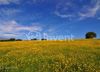 Продается дом, 24 м2, поселок Моршанское, Шоссейная улица, 6