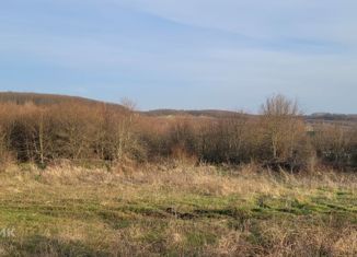 Продаю участок, 100 сот., садоводческое некоммерческое партнёрство Ведруссия, Синегорская улица