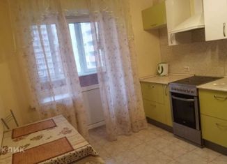 Аренда однокомнатной квартиры, 39 м2, Самара, улица Николая Панова, 50, метро Московская