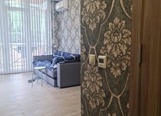 Квартира на продажу студия, 26 м2, село Орёл-Изумруд, улица Лазурная Долина, 191А