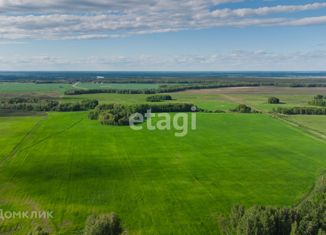 Продажа участка, 13.1 сот., село Каменка, Школьная улица