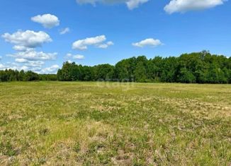 Продаю участок, 153.04 сот., деревня Ермолина, Луговая улица