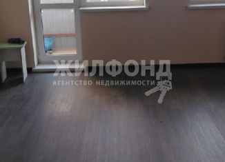 Сдается 1-комнатная квартира, 34 м2, Новосибирск, Тульская улица, 80, ЖК Тульский