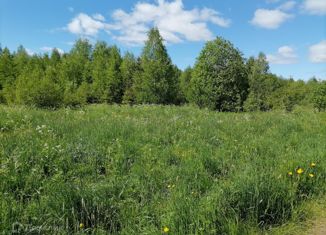Продается участок, 25 сот., деревня Морженга
