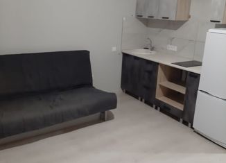 Продажа квартиры студии, 25 м2, Краснодар, улица Цезаря Куникова, 18к10, ЖК Арбатский