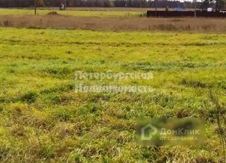 Продается участок, 20 сот., деревня Бегуницы, деревня Бегуницы, 18