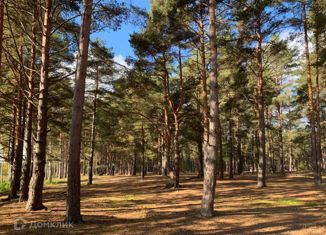 Продается участок, 14.5 сот., Ромашкинское сельское поселение