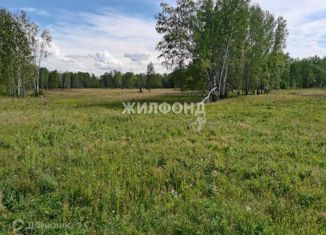 Продажа участка, 81 сот., посёлок Октябрьский, Октябрьская улица, 14