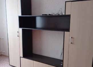 Сдаю однокомнатную квартиру, 39 м2, Воронежская область, улица 45-й Стрелковой Дивизии, 259