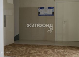 Многокомнатная квартира на продажу, 178.4 м2, Новосибирск, Коммунистическая улица, 20, метро Площадь Ленина