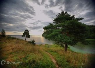 Дом на продажу, 50 м2, деревня Пичугино (Решемский сельсовет), деревня Пичугино (Решемский сельсовет), 9