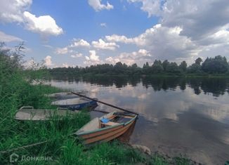 Продается дом, 20 м2, деревня Бараниха, Славная улица, 4