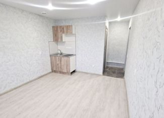 Квартира на продажу студия, 17.9 м2, Нижний Новгород, улица Дьяконова, 43А, улица Дьяконова