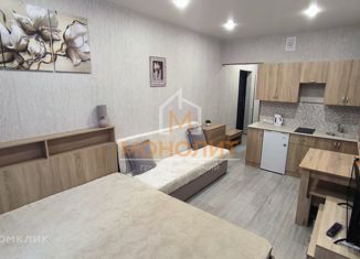 Продажа квартиры студии, 23.1 м2, Горячий Ключ, Рябиновая улица, 2Вк2