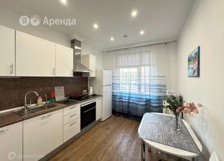 1-комнатная квартира в аренду, 35 м2, Санкт-Петербург, улица Савушкина, 104, ЖК Елагин Апарт