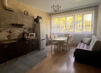 Сдаю 1-комнатную квартиру, 42 м2, Петергоф, улица Аврова, 41