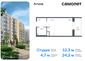 Продаю квартиру студию, 24.2 м2, Колпино, проспект Ленина, 60, ЖК Астрид