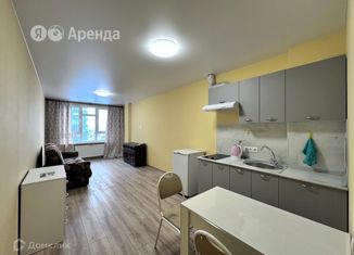 Сдается квартира студия, 27 м2, Санкт-Петербург, улица Архитектора Белова, 6к5