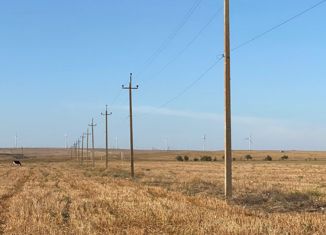 Продается участок, 340 сот., село Окунёвка, улица Крупской