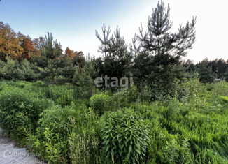 Продажа земельного участка, 24.8 сот., городской округ Пушкинский