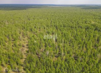 Продается земельный участок, 600 сот., садоводческое некоммерческое товарищество Разбахта