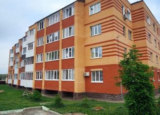Продаю 3-ком. квартиру, 63 м2, село Дмитриевка, Яблоневая улица, 32