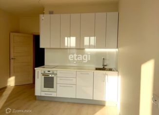 Продажа квартиры студии, 25 м2, Санкт-Петербург, Манчестерская улица, 3к2, Манчестерская улица