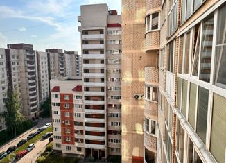 Продажа квартиры студии, 33 м2, Санкт-Петербург, Красногвардейский район, Ленская улица, 19к1