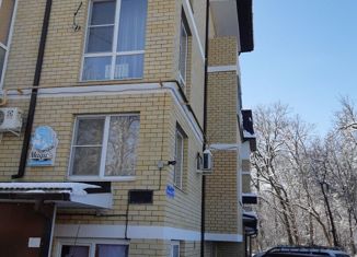 Продам 1-комнатную квартиру, 46 м2, станица Елизаветинская, Курганная улица, 132