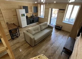 Продается таунхаус, 66 м2, село Кусимовского Рудника, улица Победы, 20/1