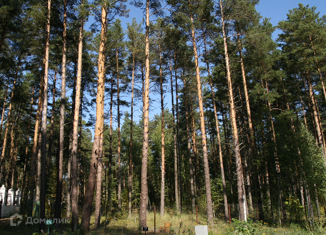 Земельный участок на продажу, 38 сот., поселок Николина Гора, Архангельская улица