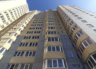 Продаю квартиру студию, 30.9 м2, Курск, проспект Вячеслава Клыкова, 9В, Центральный округ