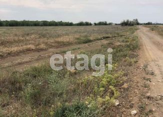 Продается участок, 49.8 сот., село Михайловка