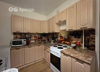 Сдается в аренду 2-ком. квартира, 80 м2, Екатеринбург, улица Мичурина, 132