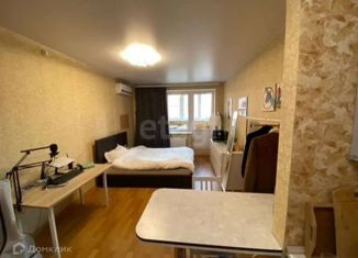 Продается квартира студия, 30 м2, село Осиновая Гора, Восточная улица, 9