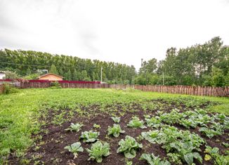 Продается участок, 6 сот., СНТ Надежда, Садовая улица, 13