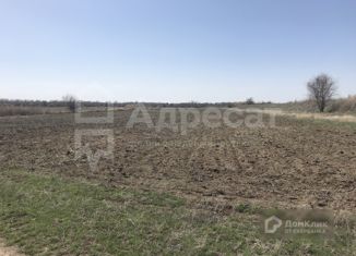 Земельный участок на продажу, 150 сот., хутор Прыщевка