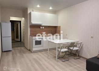 Продажа квартиры студии, 26 м2, Мурино, проспект Авиаторов Балтики, 3к1, ЖК Девятый вал