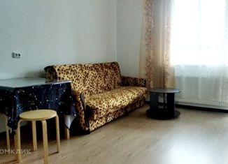 Сдам квартиру студию, 26 м2, Санкт-Петербург, Комендантский проспект, 69