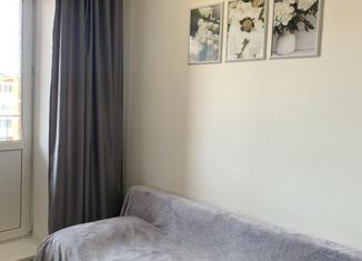 Продаю квартиру студию, 26 м2, рабочий поселок Маркова, микрорайон Берёзовый, 239