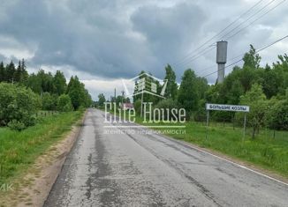 Продажа участка, 11.67 сот., деревня Большие Козлы, деревня Большие Козлы, 50